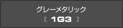 グレーメタリック[1G3]